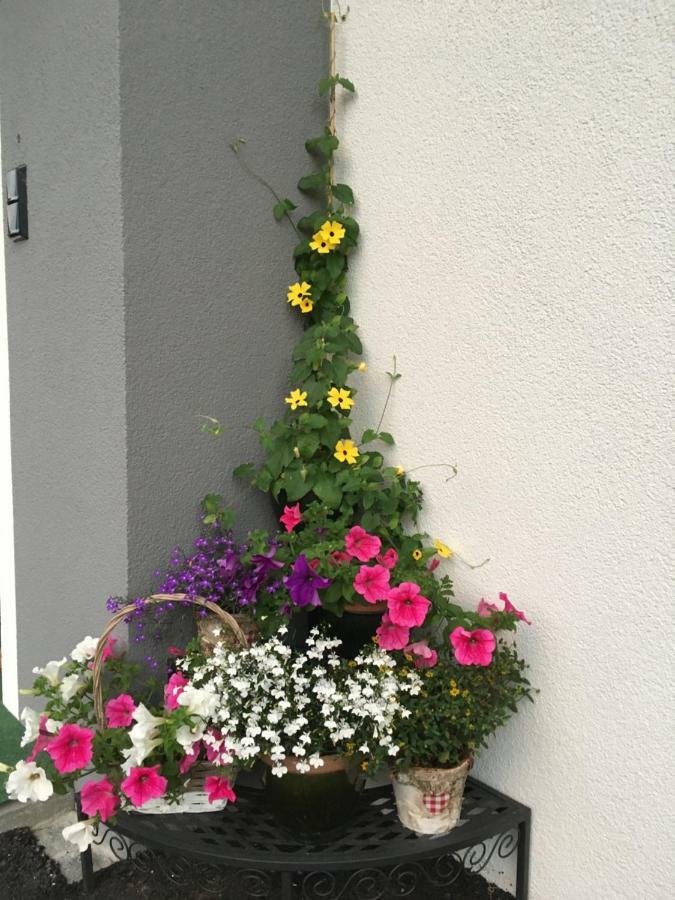 Kitz Juwel Apartment Hollersbach im Pinzgau Exterior photo